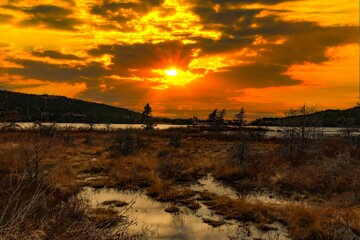 Wall Mural - View of a sunset over the lake