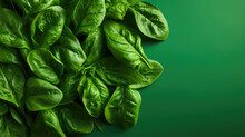 Fresh Spinach Leaves On Flat Colored Green Background, Natural Backdrop, Background With Fresh Leaves.