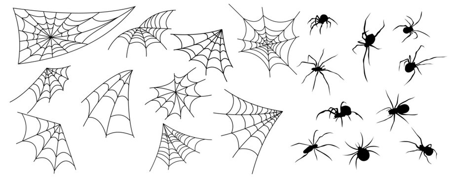 Wall Mural -  - Halloween banner with spiderweb and spiders. Vector background.