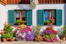 Traditional Austrian House With  Windows Decorated With Varieties Of Petunia And Geranium Flowers