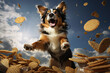 Australian Shepherd dog jumps and catches a treat or food.