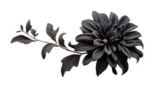 Black Flower Isolated On Transparent Background Cutout