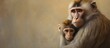 A primate mother and her offspring isolated pastel background Copy space