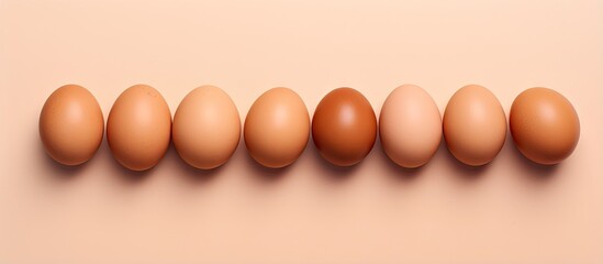 Fototapete - Copy space with eggs