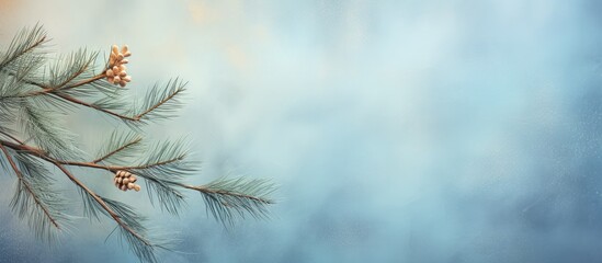 Leinwandbilder - A Christmas tree branch in a studio photograph isolated pastel background Copy space
