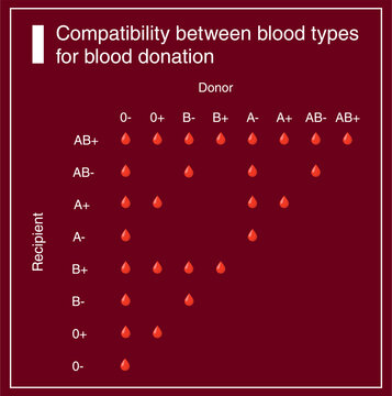Cuadro de compatibilidad entre tipos de sangre para la donación de sangre. Vector