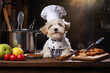 cute dog animal wearing chef uniform