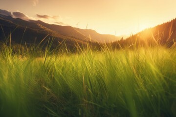 Wall Mural - Green grass mountains sunset. Generate Ai