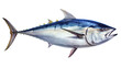 Albacore tuna, side view in an Aquatic-themed, photorealistic illustration in a transparent PNG. Generative ai