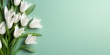 Fototapeta Tulipany - Beautiful Tulips bouquet in pastel green colors. Tulips flowers. Copy space. Photo texture. Horizontal banner. Ai generated