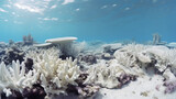 Fototapeta Do akwarium - Corals and sponges on the vibrant ocean floor