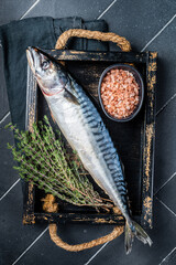 Wall Mural - Raw mackerel fish with herbs and spices in wooden tray ready for cooking. Black background. Top view