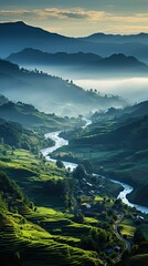 Wall Mural - Wonderful landscape of a forest with mists