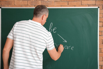 Sticker - Male teacher writing English grammar on blackboard in classroom, back view