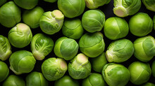 Brussels Sprouts Background. Harvest Autumn Season. Top View