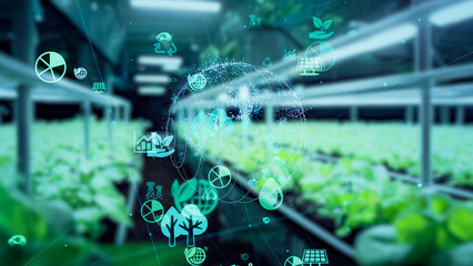 Poster - Plant factory and biotechnology concept.