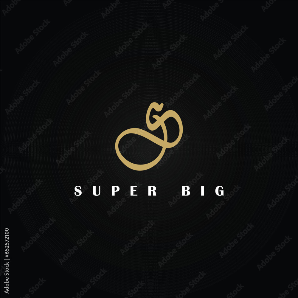 Abstract initial letter SB or BS initial logo design vector symbol ...