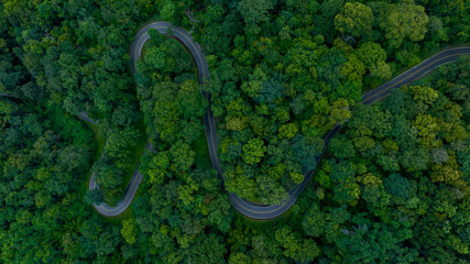 Wall Mural - Aerial top view road in forest with car motion blur. Winding road through the forest. Car drive on the road between green forest. Ecosystem ecology healthy environment road trip.