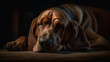 A portrait of loyal sleepy pet purebred bloodhound resting on a floor. Dark backdrop.