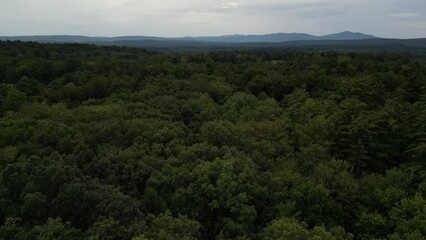 Wall Mural - footage of catskill mountains and boreal forest on cloudy day (overcast, dark sky) trees