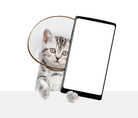 Poster - Cute tabby kitten wearing protective cone collar shows big smartphone with empty screen above empty white banner. Isolated on white background