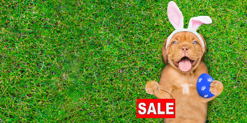 Poster - Happy mastiff puppy wearing easter rabbits ears holding painted Easter egg and showing signboard with labeled 