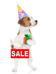 Poster - Jack russell terrier puppy  wearing a party cap holds gift box and shows signboard with labeled 