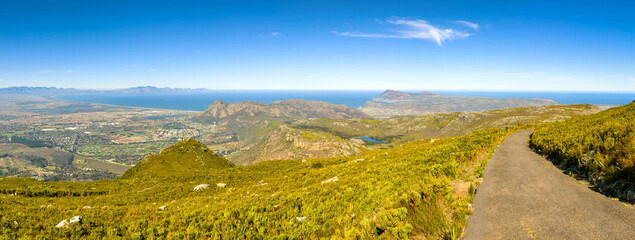 Wall Mural - Coastal mountain landscape with fynbos flora in Cape Town..