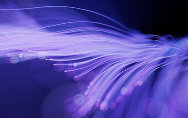 Poster - Flowing neon curve lines background, 3d rendering.