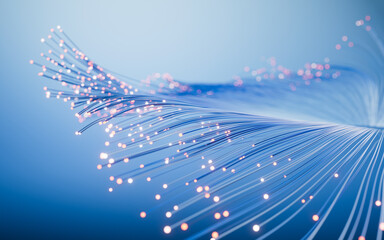 Poster - Flowing neon curve lines background, 3d rendering.