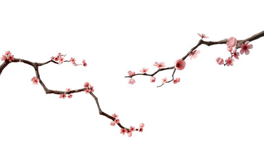 plum blossom with chinese ink painting style, 3d rendering.