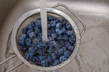 Fototapeta  - Mycie owoców pod strumieniem zimnej wody z kranu, borówka amerykańska 