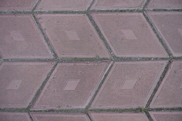 Wall Mural - Closeup of grayish pink diamond shaped concrete pavement with geometric pattern