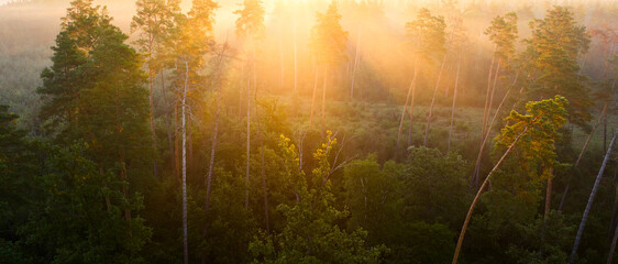 Wall Mural - Chasing Sunrise: Exploring the Mystical Charm of Early Mountain Mornings