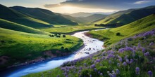 A Bubbling Stream Winds Its Way Through A Lush Valley Surrounded By Rolling Hills Blanketed In Wildflowers. Generative AI
