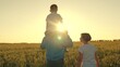 teamwork. child sits on his father's shoulders rides. happy family in the wheat field. family summer walk at sunset. mother father little boy child son. childhood dream happy family vacation holidays