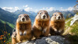 Tierbegegnungen in den sonnigen Alpen: Naturschönheiten