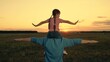 Little daughter sits on father shoulders playing plane in sunset field