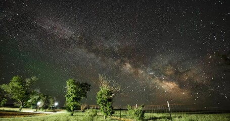 Wall Mural - Timelapse of the green trees of a park under the starry sky and meteors
