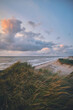 large Dunes in evening light at danish west coast. High quality photo