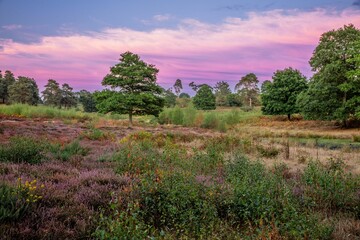 Wall Mural - Breathtaking view of Lord's Piece in Pulborough, England under a gorgeous purple sky at sunrise