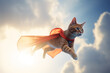 a super cat flying in the sky