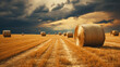 champs de blé après la moisson, perspective des rangées de culture avec meules de foins sous un ciel d'orage
