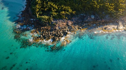 Wall Mural - view of a tropical albany middleton beach with white sand and azure blue waters