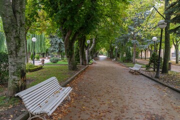 Wall Mural - pathway lined with green trees and benches in the town of soria, spain