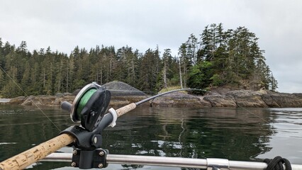 Wall Mural - Fishing rod with the calm lake and trees in the background on a cloudy day