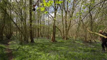 Wall Mural - A man packing his rucksack and walking off from  woodland