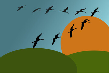 Wall Mural - Flock of geese, cranes flying against the background of sunset