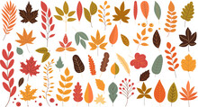 Set Of Autumn Leaves In Flat Style On White Background, Vector