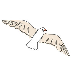 Wall Mural - sketch of a flying seagull on a white background, vector